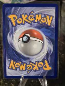 Black Belt's Training 255/217 - Ascended Heroes - Pokemon TCG- Ultra Rare - NM - Image 2