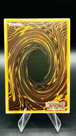 Yugioh Dark Paladin DPYG-EN016 Ultra Rare 1st Edition (LP) - Image 2