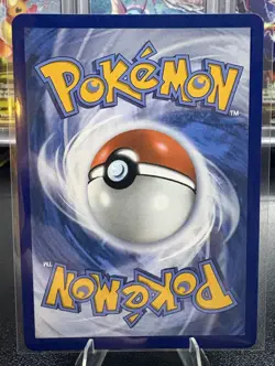 First Partner Series 2 Totodile Cyndaquil Chikorita Set Of 3 Pokemon - Image 3