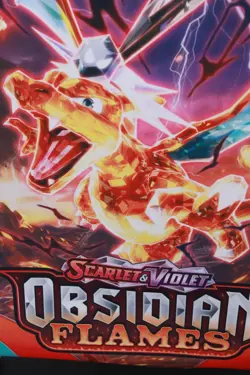 Pokemon TCG - OBSIDIAN FLAMES - flag Cloth Banner 24" x 36" Charizard - Image 5