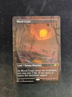Blood Crypt (Borderless) Unfinity Regular - Image 1