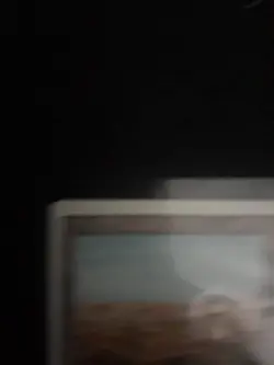 MTG Scrubland Revised Rare dual land - 1994 - Image 2