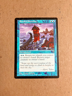MTG Visions Flooded Shoreline - Image 1