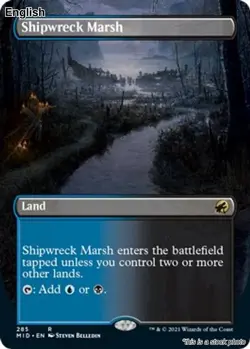 Shipwreck Marsh (Borderless) EN [MID - 285] - NM TCG MTG - Image 1