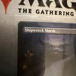 Shipwreck Marsh - BORDERLESS - Rare - MID - #285 - MTG - EZSeller! - Image 2