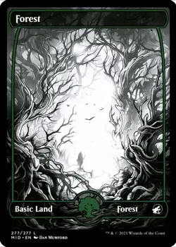 X 1 Forest Full Art NM-M Innistrad Midnight Hunt MID 277 MTG Magic The Gathering - Image 1