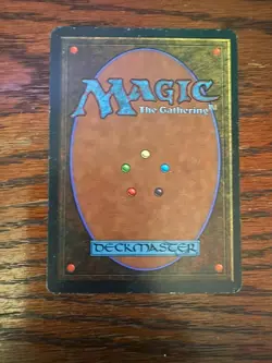 Bayou Magic the Gathering Revised Edition Authenticated - Image 2