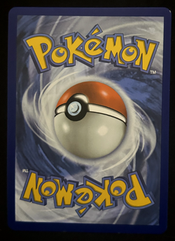 Lance's Charizard V SWSH133 (NM) Promo SWSH: Sword & Shield Promo Card - Image 2
