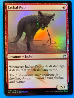 MTG 1x FOIL Jackal Pup Masters 25 M25 Pauper Legacy Magic the Gathering x1 NM - Image 1