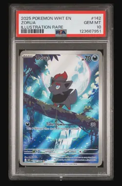 Pokemon GRADED 2025 Zorua 142/086 White Flare Illustration Rare PSA 10 GEM MINT - Image 1