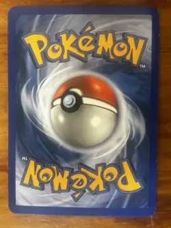 Pokemon TCG Torchic 73/109 Ruby & Sapphire Reverse Holo 2003 English 40 HP - Image 2