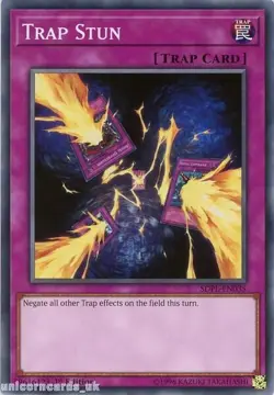 Trap Stun - SDPL-EN035 - Common - 1st Edition - YuGiOh - Image 1