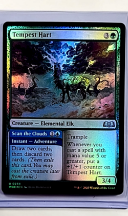 2023 MTG Magic The Gathering WOE Wilds of Eldraine Foil #238 Tempest Hart - Image 1