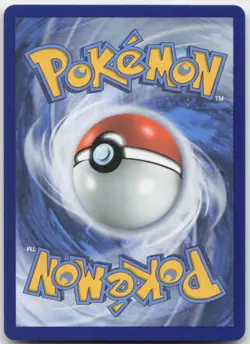 Raikou GX SM121 Holo Promo Sun & Moon Promo Pokemon TCG NM - Image 2