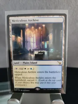 Wizards of the Coast Meticulous Archive MKM Rare Regular Land 0264 EN 2024 - Image 1