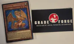 Hundred Dragon Yu-gi-oh - DLCS-EN146 LIMITED EDITION - Good Condition - Image 1