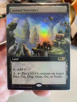 MTG Foil - Animal Sanctuary (Extended Art) - 385 / NM / English - Image 1