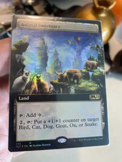 MTG Foil - Animal Sanctuary (Extended Art) - 385 / NM / English - Image 2