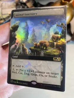 MTG Foil - Animal Sanctuary (Extended Art) - 385 / NM / English - Image 3