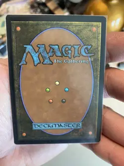 MTG Foil - Animal Sanctuary (Extended Art) - 385 / NM / English - Image 4