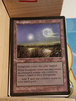 Everglades Visions Regular - Image 1