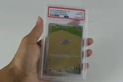 PSA 10 Pokemon Paldean Wooper Paldea Evolved Illustration Rare 221 Gem Mint - Image 1