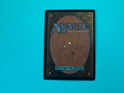 Root Maze - Tempest - MTG - Magic the Gathering - Image 2