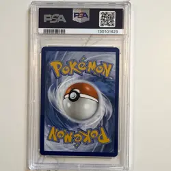 2023 Pokemon Mew En Wartortle Illustration Rare Psa 9 - Image 2