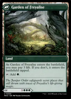 MTG - Disciple of Freyalise 0250 MH3 Uncommon Modern Horizons 3 NM - Image 2