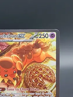 Dachsbun ex 169/142 Special Illustration Rare Pokemon TCG Stellar Crown 2024 LP - Image 4