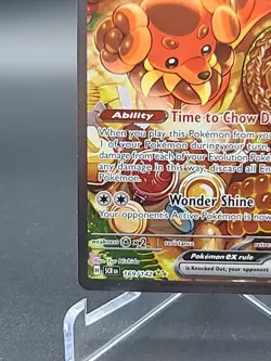 Dachsbun ex 169/142 Special Illustration Rare Pokemon TCG Stellar Crown 2024 LP - Image 5