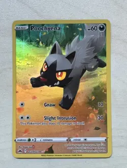 Pokemon TCG Poochyena GG33/GG70 Crown Zenith: Galarian Gallery Holo Rare NM - Image 1