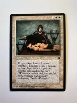 Leeches - RESERVED LIST - MTG Homelands - LP - Image 1