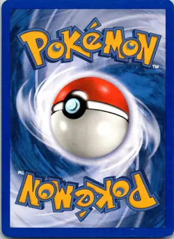 Team Magma's Houndour - 62/95 Team Magma vs Team Aqua Pokemon TCG NM Normal - Image 2