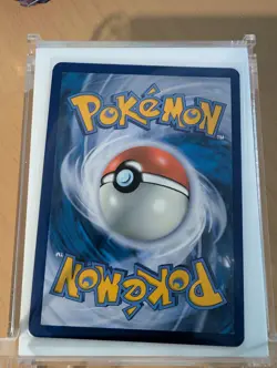 Braviary – 214/191 – Surging Sparks – Illustration Rare – NM Pokemon Card - Image 2