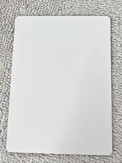 Mangara, The Diplomat Full Art Artist Proof Howard Lyon Shadow Signed - Image 2