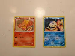Pokemon TCG Torchic RC5 & Piplup RC6 Amazing Holos! LP - Image 1