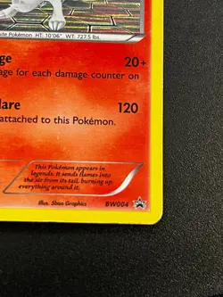 Reshiram BW004 - Black & White Black Star Promo Holo Pokemon Card Pokemon TCG MP - Image 3