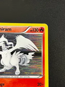 Reshiram BW004 - Black & White Black Star Promo Holo Pokemon Card Pokemon TCG MP - Image 4