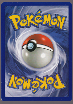 Mewtwo 14 Black Star Promo Pokemon Card 2000 NM - Image 2