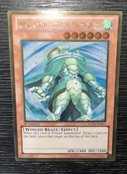 Raiza The Storm Monarch Gold Rare PGLD-EN062 LP/MP 1st Edition Edison YUGIOH - Image 4
