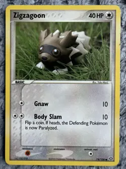 Zigzagoon 74/106 Common Emerald Pokemon NEAR MINT / LP+ - Image 1