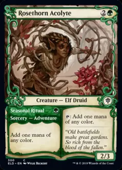 Rosethorn Acolyte (Showcase) - Near Mint MTG Throne of Eldraine - Image 1