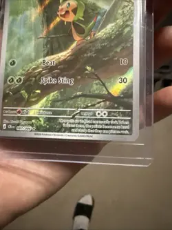 Chespin 087/086 Chaos Rising Illustration Rare Pokemon TCG NM - Image 3