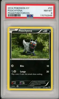 2014 Pokemon XY Phantom Forces Poochyena #53 PSA 8 - Image 1