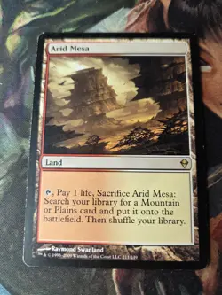 Arid Mesa Zendikar Regular MTG Magic Land Card - Image 2