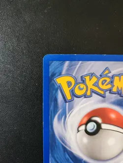 Growlithe 65/100 Ex Sandstorm Vintage Common E reader Pokemon Card LP - Image 3
