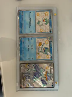 Pokemon Promo Shiny Quaquaval Quaxwell Quaxly in Display SVP 082/083/084 - Image 3