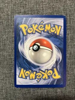 Zigzagoon 79/109 Ruby and Sapphire Reverse Holo Pokemon TCG - Image 2