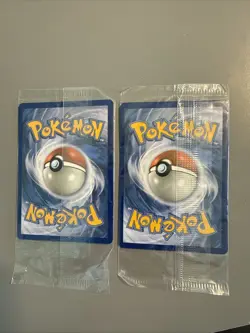 Pokemon TCG Sealed 2015 Build a Bear Eevee and Charmander - Image 2